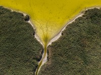 Foto udara menujukkan menurunnya permukaan air di Danau Velence, Hungaria, Kamis (6/8/2026).
Permukaan air di Danau Velence diprediksi akan turun ke level terendah sepanjang masa pada musim panas ini akibat dampak perubahan iklim. (REUTERS/Marton Mo