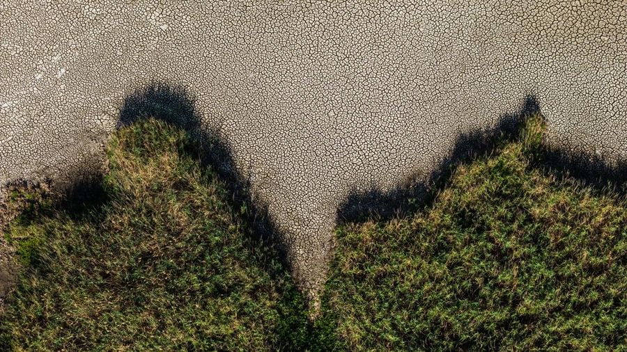 Foto udara menujukkan menurunnya permukaan air di Danau Velence, Hungaria, Kamis (6/8/2026).
Permukaan air di Danau Velence diprediksi akan turun ke level terendah sepanjang masa pada musim panas ini akibat dampak perubahan iklim. (REUTERS/Marton Mo