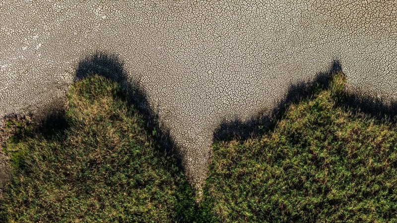 Foto udara menujukkan menurunnya permukaan air di Danau Velence, Hungaria, Kamis (6/8/2026).
Permukaan air di Danau Velence diprediksi akan turun ke level terendah sepanjang masa pada musim panas ini akibat dampak perubahan iklim. (REUTERS/Marton Mo