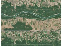 Gabungan citra satelit memperlihatkan penurunan permukaan air di sepanjang gosong pasir Sungai Donau, dekat Wina, Austria (atas), pada 30 Juli 2026, serta permukaan air di lokasi yang sama pada tahun sebelumnya (bawah), 7 Agustus 2025. (European Unio