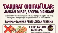 Infografis: Jangan Hisap Luka Bekas Gigitan Ular!