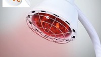 Kapan Sebenarnya Lampu Terapi Infrared Perlu Digunakan di Rumah?