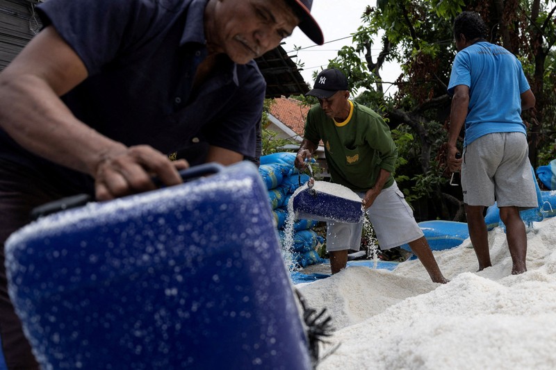 Seorang petani memuat karung-karung garam di atas tanggul saat panen di tambak garam di Desa Pengarengan, Cirebon, Provinsi Jawa Barat, Indonesia, pada 30 Juli 2026. (REUTERS/Willy Kurniawan)