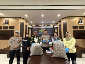 Polisi Bongkar Gudang Sisik Trenggiling di Pontianak, Sita 551 Kg Barang Bukti