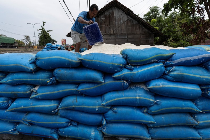 Seorang petani memuat karung-karung garam di atas tanggul saat panen di tambak garam di Desa Pengarengan, Cirebon, Provinsi Jawa Barat, Indonesia, pada 30 Juli 2026. (REUTERS/Willy Kurniawan)