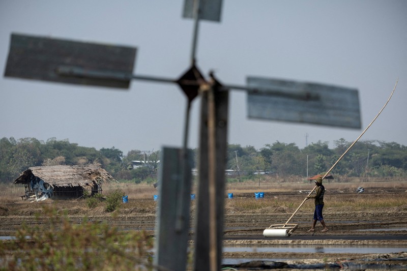Seorang petani memuat karung-karung garam di atas tanggul saat panen di tambak garam di Desa Pengarengan, Cirebon, Provinsi Jawa Barat, Indonesia, pada 30 Juli 2026. (REUTERS/Willy Kurniawan)