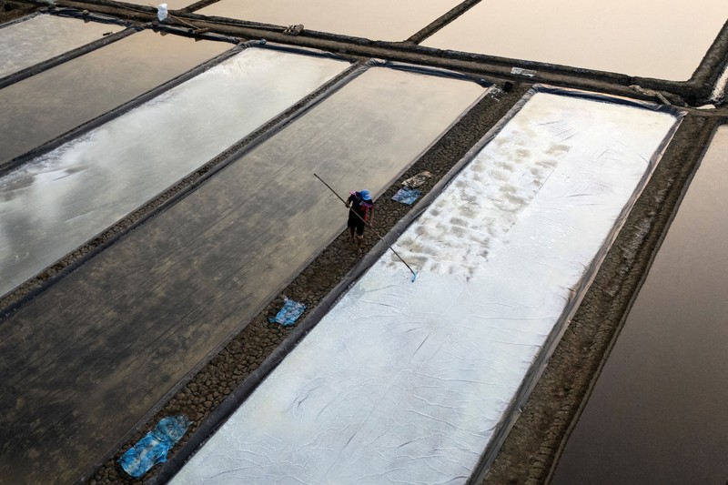 Seorang petani memuat karung-karung garam di atas tanggul saat panen di tambak garam di Desa Pengarengan, Cirebon, Provinsi Jawa Barat, Indonesia, pada 30 Juli 2026. (REUTERS/Willy Kurniawan)