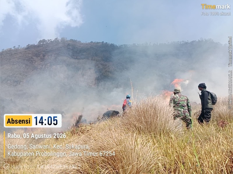 Tim gabungan melakukan pemadaman darat menggunakan gepyok dan sprayer di Kecamatan Sukapura, Kabupaten Probolinggo, Jawa Timur, Rabu (5/8/2026). (Dok. BPBD Provinsi Jawa Timur)