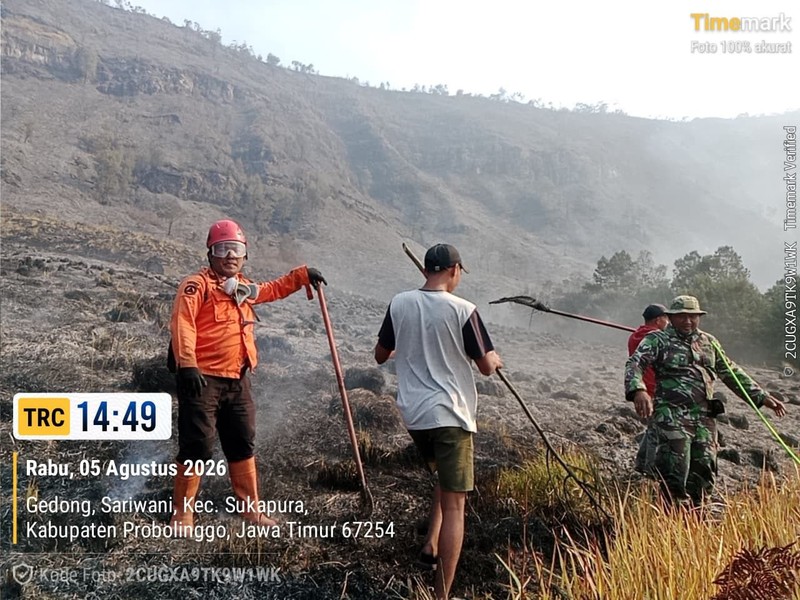 Tim gabungan melakukan pemadaman darat menggunakan gepyok dan sprayer di Kecamatan Sukapura, Kabupaten Probolinggo, Jawa Timur, Rabu (5/8/2026). (Dok. BPBD Provinsi Jawa Timur)