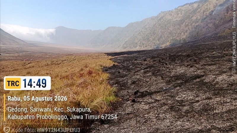 Tim gabungan melakukan pemadaman darat menggunakan gepyok dan sprayer di Kecamatan Sukapura, Kabupaten Probolinggo, Jawa Timur, Rabu (5/8/2026).