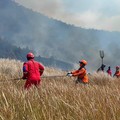 Tim gabungan melakukan pemadaman darat menggunakan gepyok dan sprayer di Kecamatan Sukapura, Kabupaten Probolinggo, Jawa Timur, Rabu (5/8/2026). (Dok. BPBD Provinsi Jawa Timur)