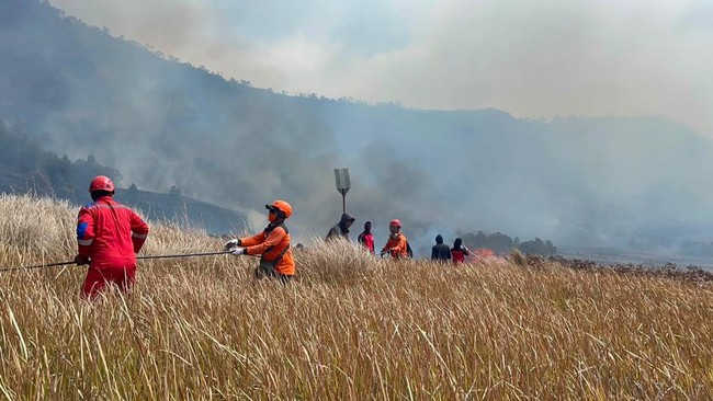 Gunung Bromo Kebakaran-Ditutup, Jatim Siaga Darurat Karhutla 180 Hari