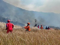 Tim gabungan melakukan pemadaman darat menggunakan gepyok dan sprayer di Kecamatan Sukapura, Kabupaten Probolinggo, Jawa Timur, Rabu (5/8/2026). (Dok. BPBD Provinsi Jawa Timur)