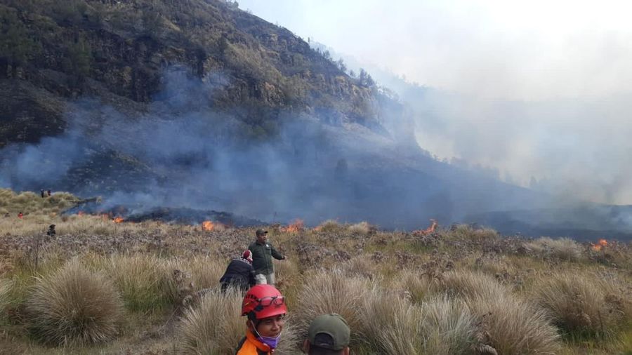 Tim campuran melakukan pemadaman darat menggunakan gepyok dan sprayer di Kecamatan Sukapura, Kabupaten Probolinggo, Jawa Timur, Rabu (5/8/2026).