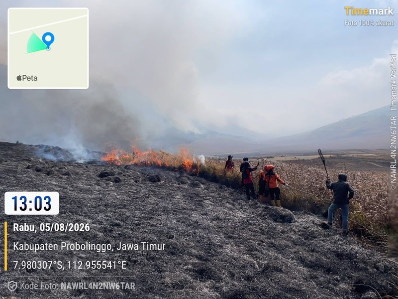Tim gabungan melakukan pemadaman darat menggunakan gepyok dan sprayer di Kecamatan Sukapura, Kabupaten Probolinggo, Jawa Timur, Rabu (5/8/2026). (Dok. BPBD Provinsi Jawa Timur)