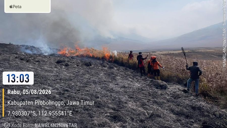 Tim campuran melakukan pemadaman darat menggunakan gepyok dan sprayer di Kecamatan Sukapura, Kabupaten Probolinggo, Jawa Timur, Rabu (5/8/2026).