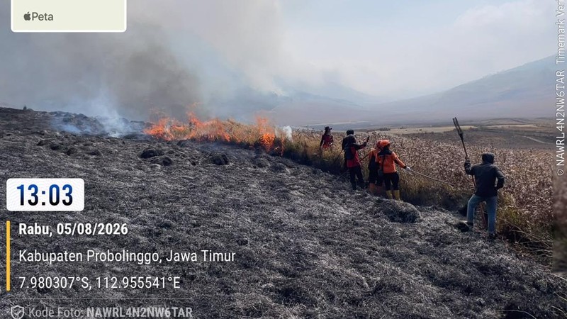 Tim gabungan melakukan pemadaman darat menggunakan gepyok dan sprayer di Kecamatan Sukapura, Kabupaten Probolinggo, Jawa Timur, Rabu (5/8/2026).