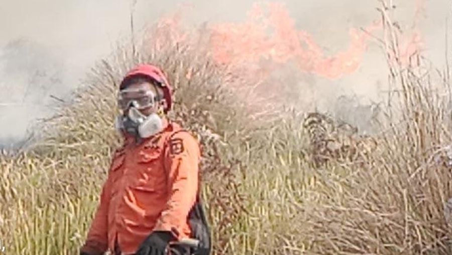 Tim campuran melakukan pemadaman darat menggunakan gepyok dan sprayer di Kecamatan Sukapura, Kabupaten Probolinggo, Jawa Timur, Rabu (5/8/2026).