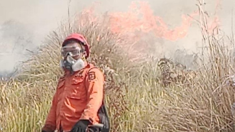 Tim gabungan melakukan pemadaman darat menggunakan gepyok dan sprayer di Kecamatan Sukapura, Kabupaten Probolinggo, Jawa Timur, Rabu (5/8/2026).