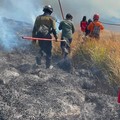 Tim gabungan melakukan pemadaman darat menggunakan gepyok dan sprayer di Kecamatan Sukapura, Kabupaten Probolinggo, Jawa Timur, Rabu (5/8/2026). (Dok. BPBD Provinsi Jawa Timur)