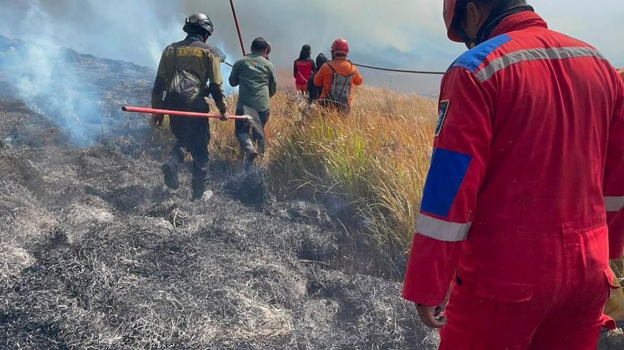 Tim campuran melakukan pemadaman darat menggunakan gepyok dan sprayer di Kecamatan Sukapura, Kabupaten Probolinggo, Jawa Timur, Rabu (5/8/2026).