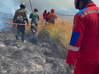 Tim gabungan melakukan pemadaman darat menggunakan gepyok dan sprayer di Kecamatan Sukapura, Kabupaten Probolinggo, Jawa Timur, Rabu (5/8/2026). (Dok. BPBD Provinsi Jawa Timur)