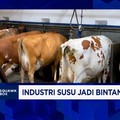Bikin Industri Susu Jadi Bintang Baru Ekonomi, RI Masih Banyak PR