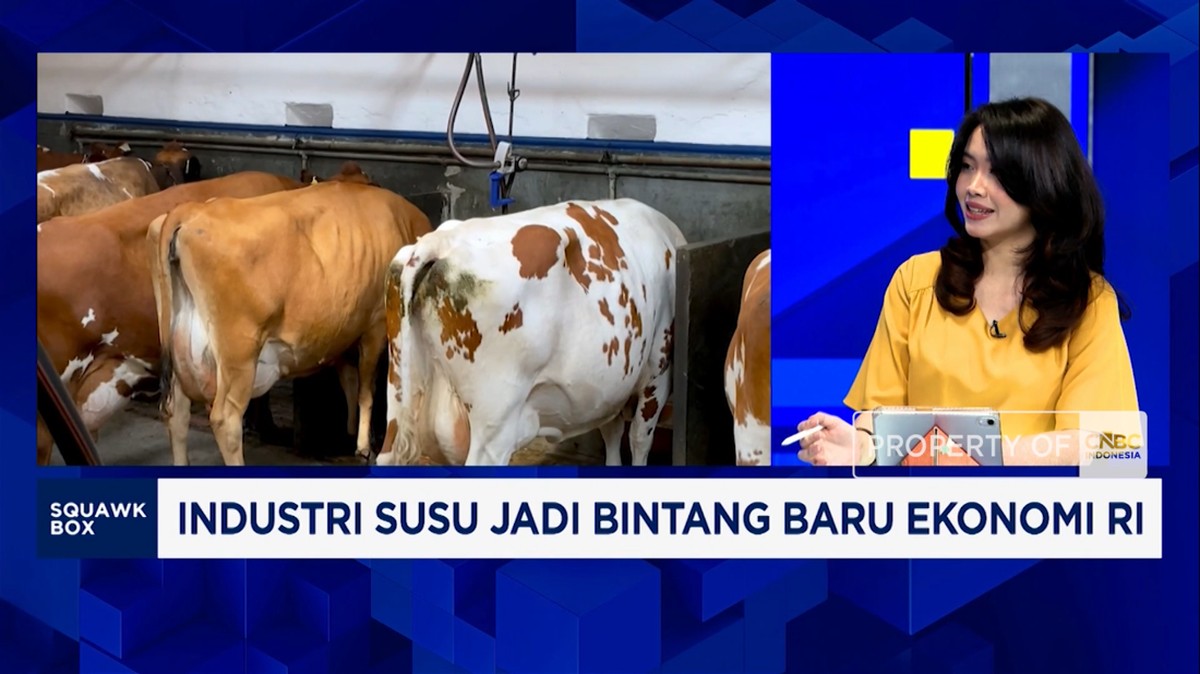 Video:Bikin Industri Susu Jadi Bintang Baru Ekonomi,RI Masih Banyak PR