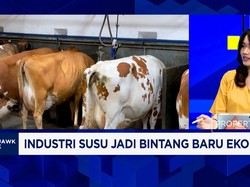 Bikin Industri Susu Jadi Bintang Baru Ekonomi, RI Masih Banyak PR