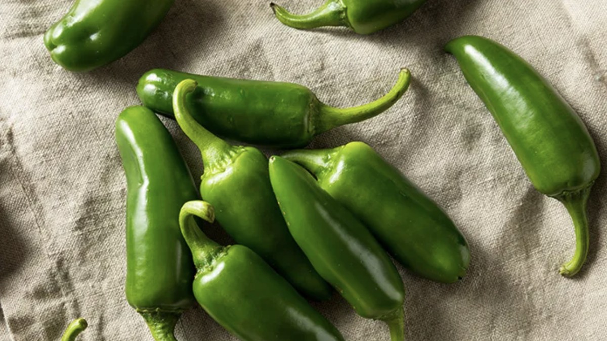 Wabah Salmonella Menyebar, Ratusan Orang Sakit Gegara Cabai Jalapeno