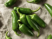 Foto: Cabai Jalapeno. (Istimewa)