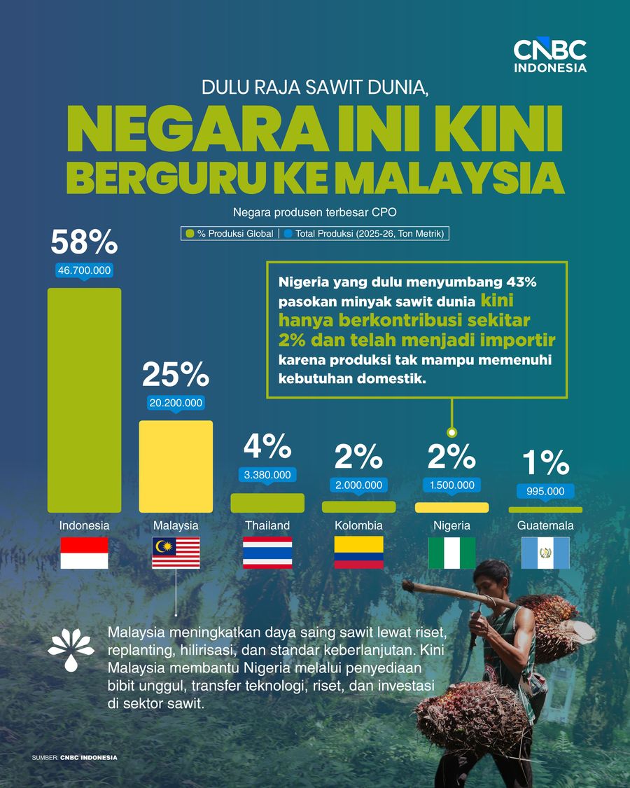 Infografis/ Dulu Raja Sawit Dunia, Negara Ini Kini Berguru ke Malaysia/ Ilham Restu