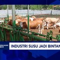 Kebutuhan Susu Melonjak Imbas MBG, Tapi Sayang 75% Masih Harus Impor