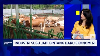 Kebutuhan Susu Melonjak Imbas MBG, Tapi Sayang 75% Masih Harus Impor