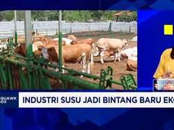 Kebutuhan Susu Melonjak Imbas MBG, Tapi Sayang 75% Masih Harus Impor