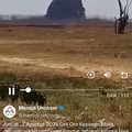 Letupan lumpur di Oro-oro Kesongo Desa Gabusan, Kecamatan Jati, Blora, Jumat (7/8/2026).