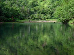 7 Lokasi Paling Angker di Kyoto, Bikin Merinding