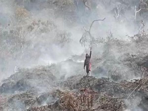 Relawan Berjibaku Padamkan Api di Kawah Wadon Gede Pangrango