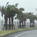 Topan Dolphin membawa angin kencang, hujan deras, dan gelombang tinggi ke wilayah selatan Jepang pada Jumat (7/8/2026). (Tangkapan Layar Video Reuters/NIPPON TV / JAPAN)