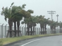 Topan Dolphin membawa angin kencang, hujan deras, dan gelombang tinggi ke wilayah selatan Jepang pada Jumat (7/8/2026). (Tangkapan Layar Video Reuters/NIPPON TV / JAPAN)