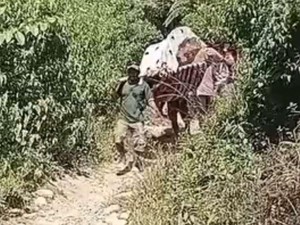 Wanita Lansia Stroke di Mamasa Ditandu 10 Km Lewati 2 Sungai untuk Berobat