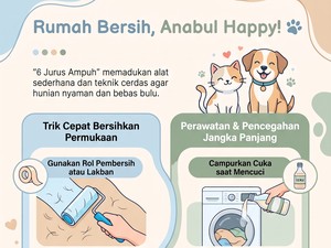 7 Jurus Ampuh Jaga Rumah Bebas dari Bulu Hewan Peliharaan
