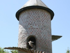 Asal Usul Ada Menara Khusus buat Kambing di India
