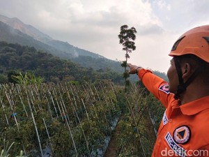 Kebakaran Hutan Terjadi di Gunung Andong Magelang, 3,67 Hektare Lahan Hangus