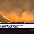 Kebakaran Gunung Bromo Meluas, Kawasan Wisata Ditutup Total