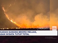 Kebakaran Gunung Bromo Meluas, Kawasan Wisata Ditutup Total