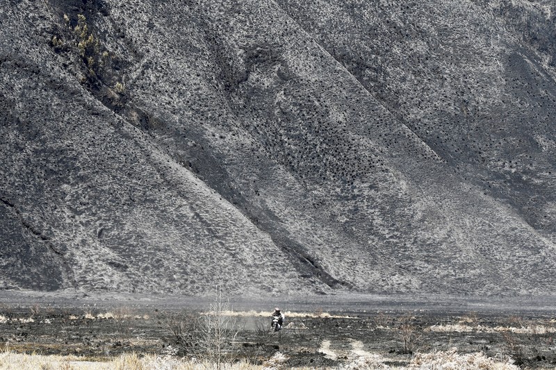 Kebakaran Hutan di Taman Nasional Bromo Tengger Semeru, Probolinggo, Jawa Timur, Minggu (9/8/2026). (REUTERS/Dipta Wahyu)