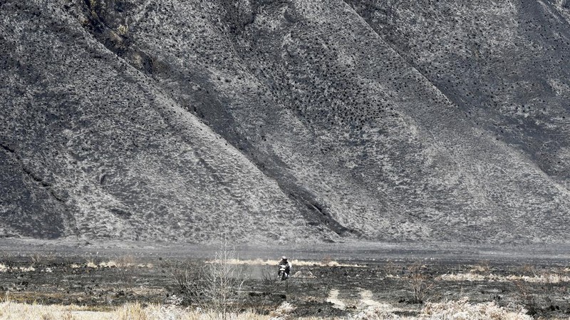 Kebakaran Hutan di Taman Nasional Bromo Tengger Semeru, Probolinggo, Jawa Timur, Minggu (9/8/2026). (REUTERS/Dipta Wahyu)