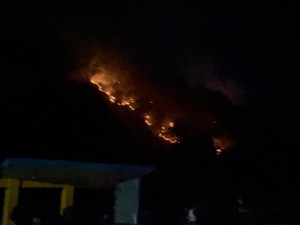 Gunung Picung Cianjur Kebakaran, Warga Duga karena Pembakaran Sampah