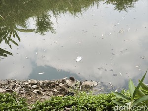 Sungai Babon di Plamongansari Semarang Tercemar Lagi, DLH Colek Pemkab Demak